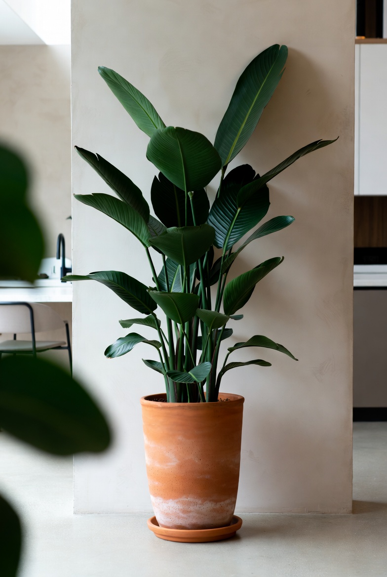 Large potted indoor plant